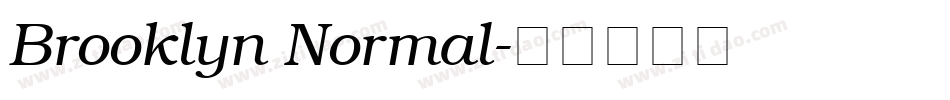Brooklyn Normal字体转换